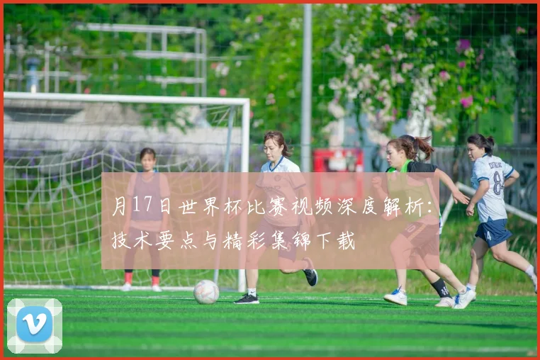 月17日世界杯比赛视频深度解析：技术要点与精彩集锦下载